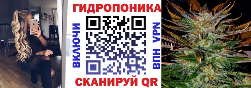 Шишки марихуана сатива наркошоп Асино